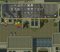 グレート・フェイク・ショー